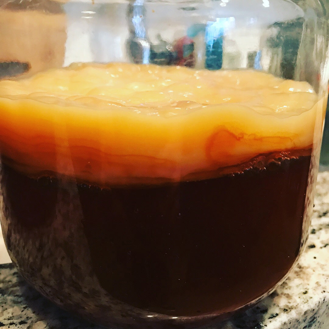 DIY Kombucha and Fruit Fermentation Process